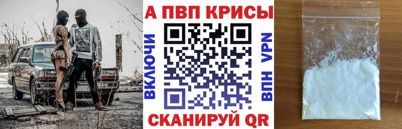 A-PVP СК  Сольвычегодск 