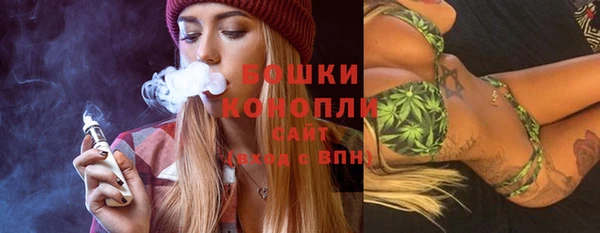 сатива Вяземский