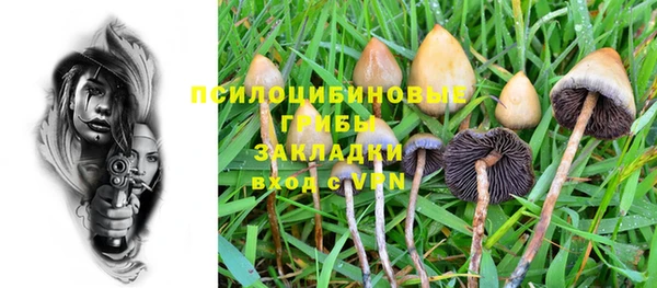 тгк Алексеевка